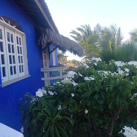 Villa Charming Blue House With Kitchen Parking And Garden Canoa Quebrada Esterno foto