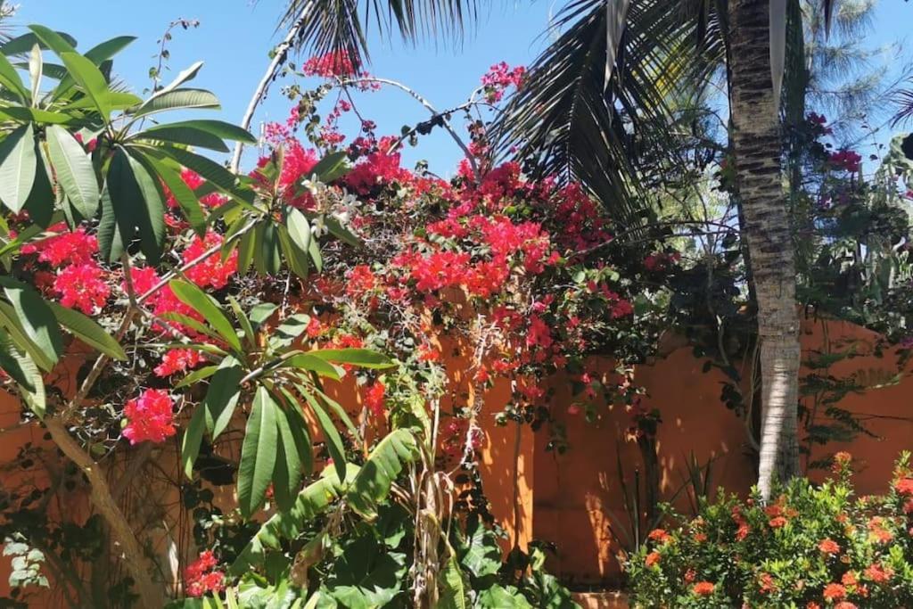 Villa Charming Blue House With Kitchen Parking And Garden Canoa Quebrada Esterno foto