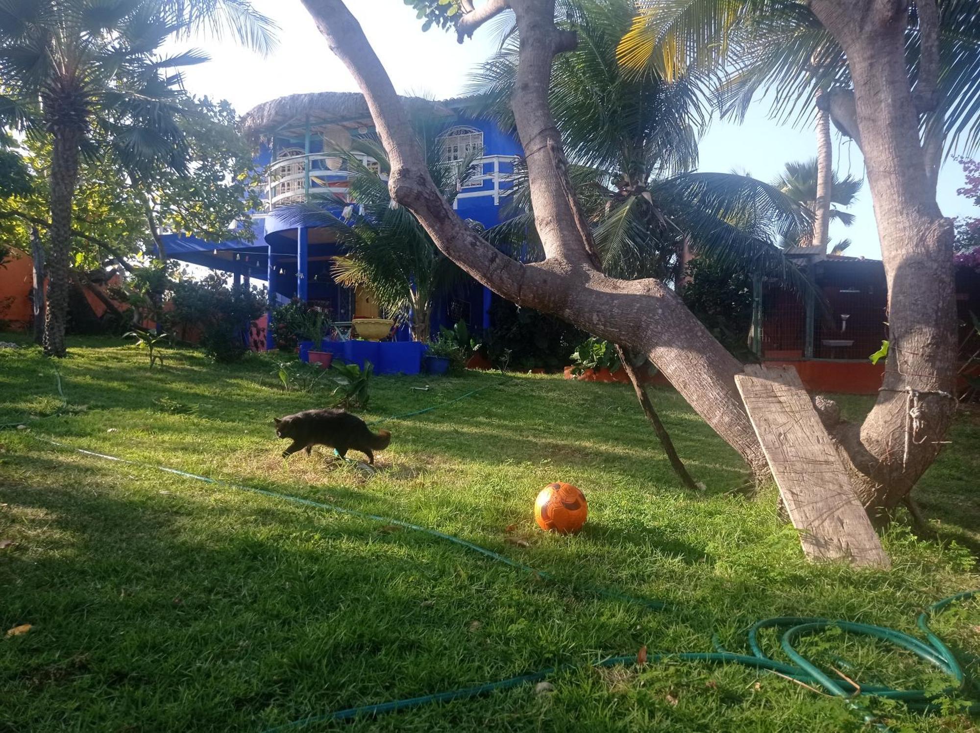 Villa Charming Blue House With Kitchen Parking And Garden Canoa Quebrada Esterno foto